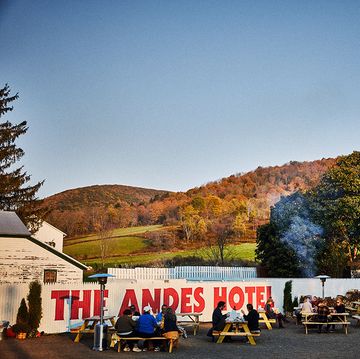 the andes hotel in andes new york