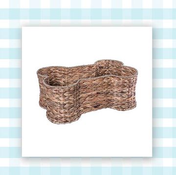 teal dog leash and wicker basket in shape of dog bone