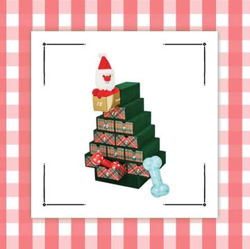 dog toy advent calendar in shape of tree and dog treat advent calendar