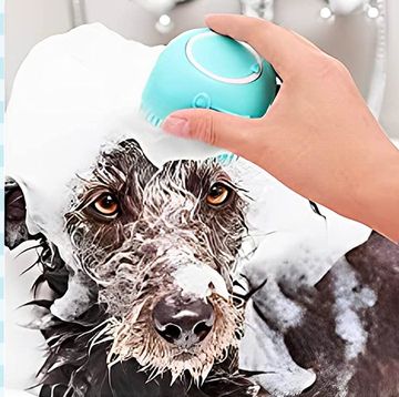 tiktok dog bath brush