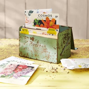 recipe box with seed packets
