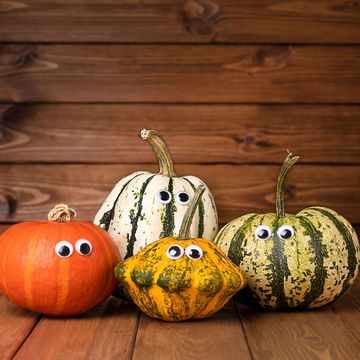 assorted thanksgiving gourds with google eyes huddled together